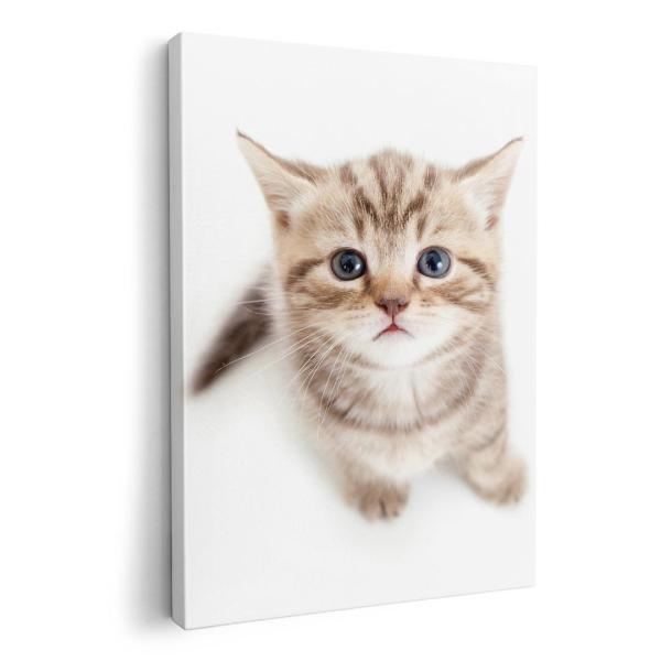 A[gpl G G  IׂTCY A1 A2 A3 A4 A5 6؂ `33 `45 001194 Aj} lR@