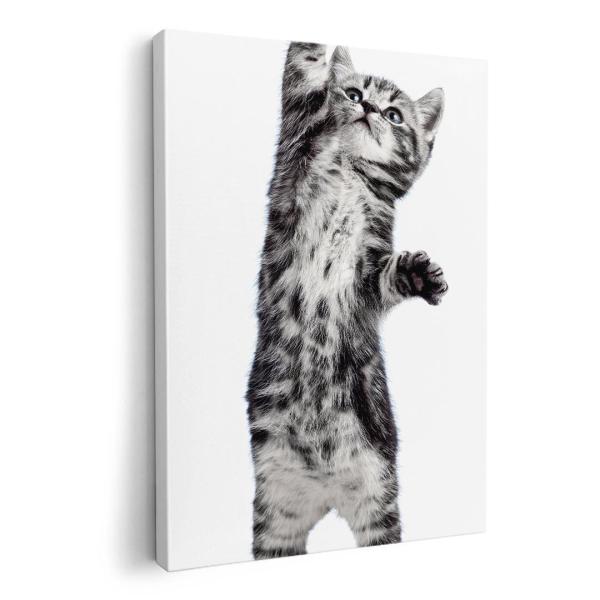 A[gpl G G  IׂTCY A1 A2 A3 A4 A5 6؂ `33 `45 001200 Aj} lR@