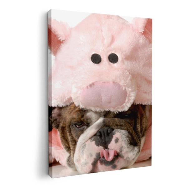 A[gpl G G  IׂTCY A1 A2 A3 A4 A5 6؂ `33 `45 001228 Aj} @u^@