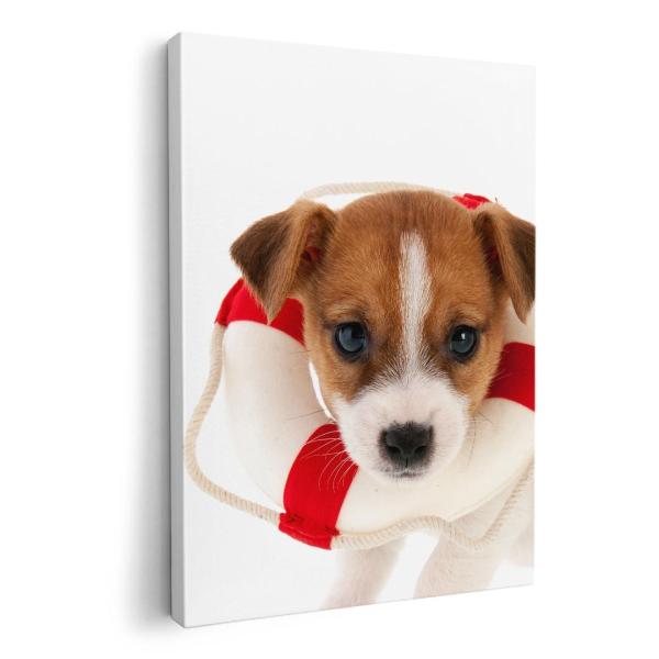 A[gpl G G  IׂTCY A1 A2 A3 A4 A5 6؂ `33 `45 001242 Aj} @