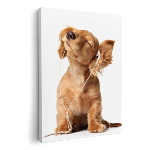 A[gpl G G  IׂTCY A1 A2 A3 A4 A5 6؂ `33 `45 001245 Aj} @_bNXtg@