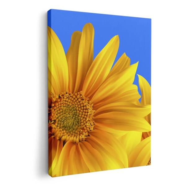 A[gpl G G  IׂTCY A1 A2 A3 A4 A5 6؂ `33 `45 001397 ̑ Ђ܂