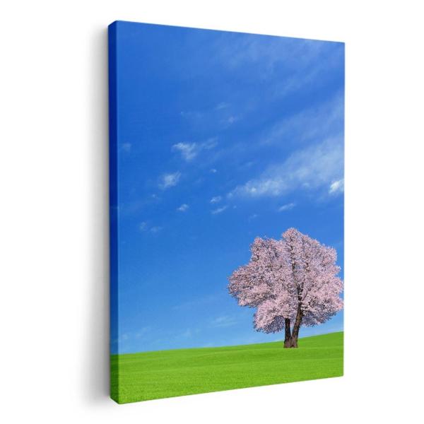 A[gpl G G  IׂTCY A1 A2 A3 A4 A5 6؂ `33 `45 002466 ʐ^Ei iF@i@