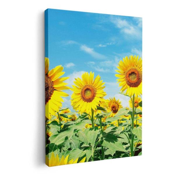 A[gpl G G  IׂTCY A1 A2 A3 A4 A5 6؂ `33 `45 002501 ʐ^Ei ԁ@Ђ܂@ʐ^