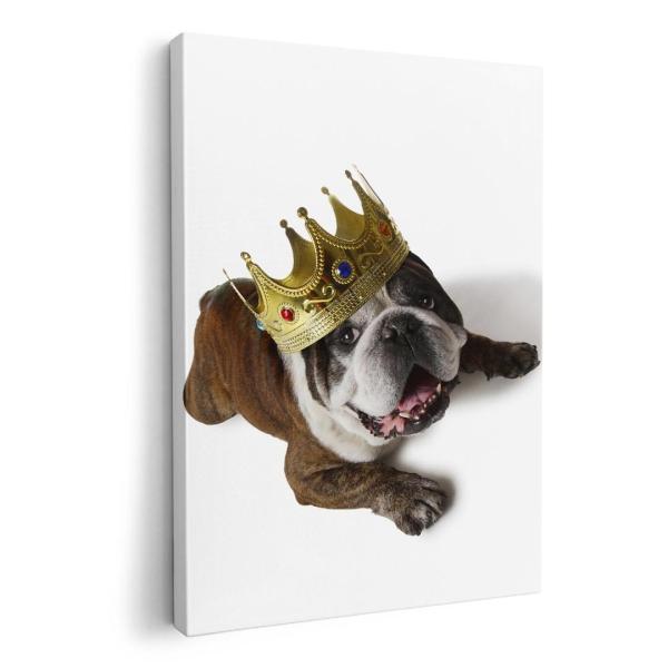 A[gpl G G  IׂTCY A1 A2 A3 A4 A5 6؂ `33 `45 002573 Aj} @@ʐ^