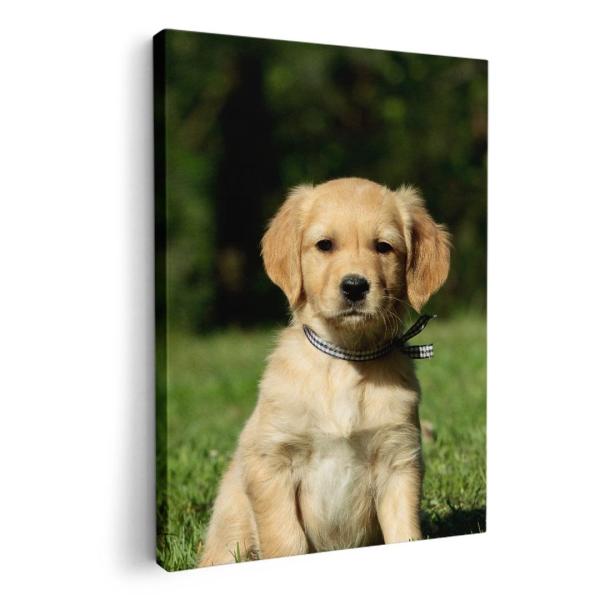 A[gpl G G  IׂTCY A1 A2 A3 A4 A5 6؂ `33 `45 002580 Aj} @@ʐ^