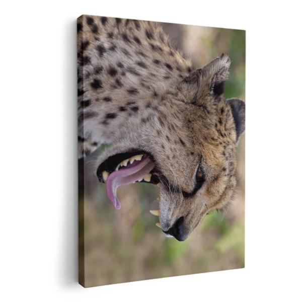 A[gpl G G  IׂTCY A1 A2 A3 A4 A5 6؂ `33 `45 002582 Aj} @ʐ^@^