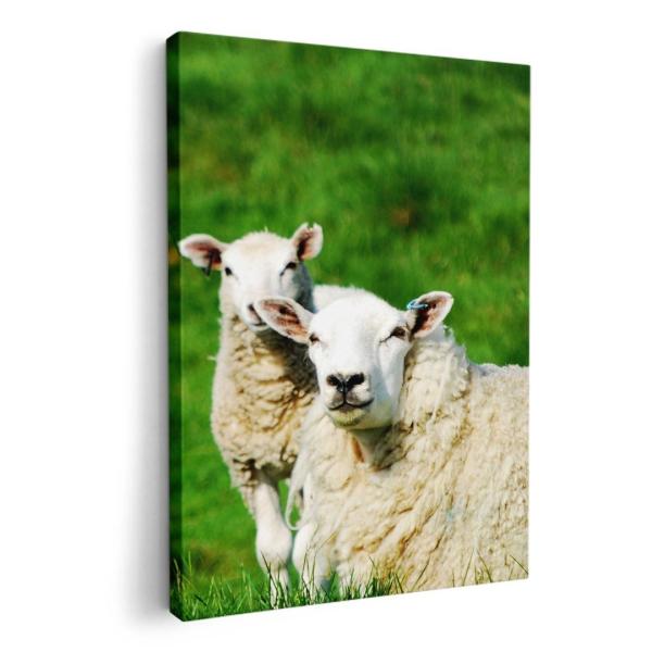 A[gpl G G  IׂTCY A1 A2 A3 A4 A5 6؂ `33 `45 002585 Aj} Ђ@@ʐ^