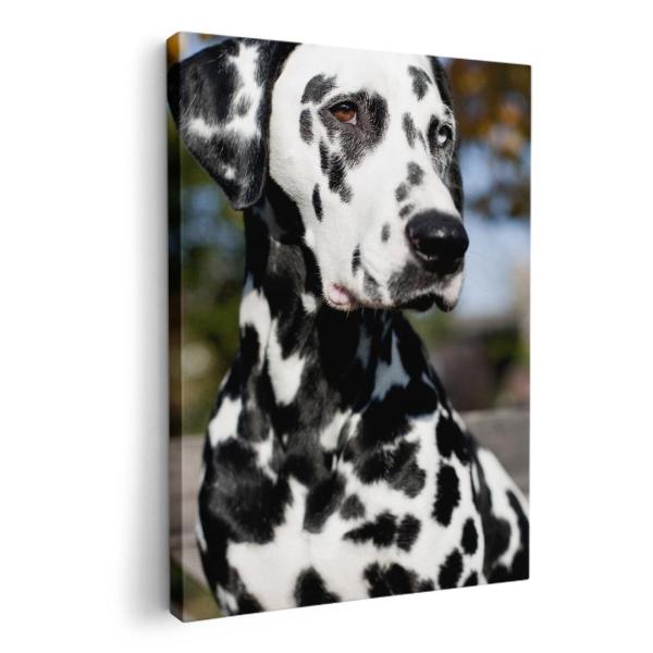 A[gpl G G  IׂTCY A1 A2 A3 A4 A5 6؂ `33 `45 002587 Aj} @@ʐ^