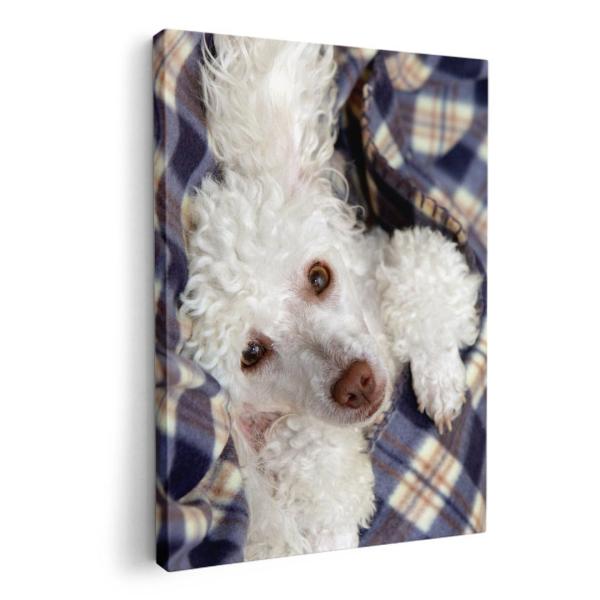 A[gpl G G  IׂTCY A1 A2 A3 A4 A5 6؂ `33 `45 002622 Aj} @@ʐ^