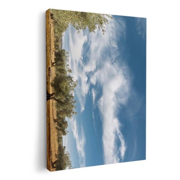 A[gpl G G  IׂTCY A1 A2 A3 A4 A5 6؂ `33 `45 002623 ʐ^Ei @iF@ʐ^