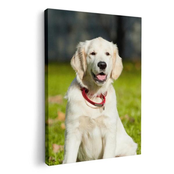 A[gpl G G  IׂTCY A1 A2 A3 A4 A5 6؂ `33 `45 002665 Aj} @@ʐ^