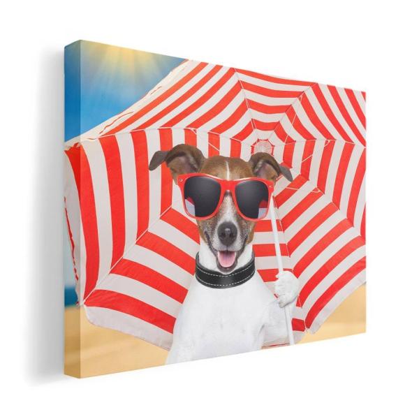 A[gpl G G  IׂTCY A1 A2 A3 A4 A5 6؂ `33 `45 002677 Aj} @@ʐ^