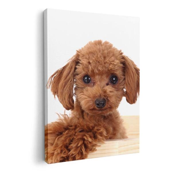 A[gpl G G  IׂTCY A1 A2 A3 A4 A5 6؂ `33 `45 002769 Aj} @@ʐ^