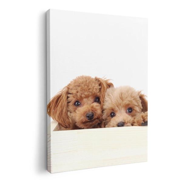 A[gpl G G  IׂTCY A1 A2 A3 A4 A5 6؂ `33 `45 002770 Aj} @@ʐ^