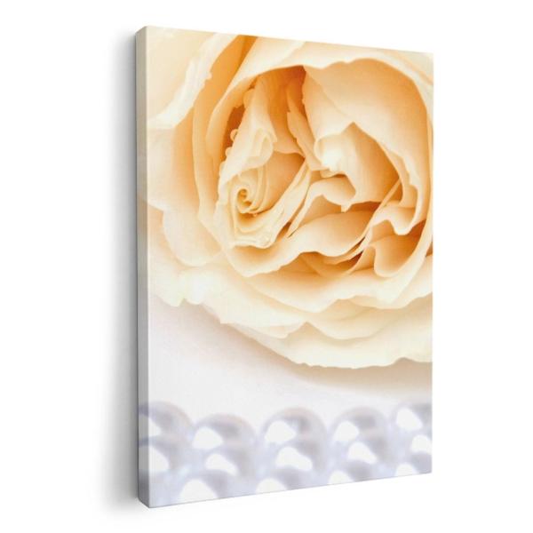 A[gpl G G  IׂTCY A1 A2 A3 A4 A5 6؂ `33 `45 002785 ʐ^Ei ԁ@p[@ʐ^