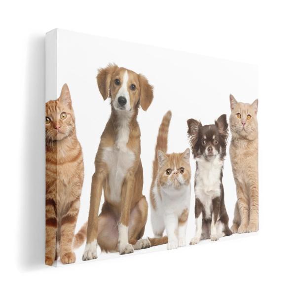 A[gpl G G  IׂTCY A1 A2 A3 A4 A5 6؂ `33 `45 002789 Aj} @L@@ʐ^