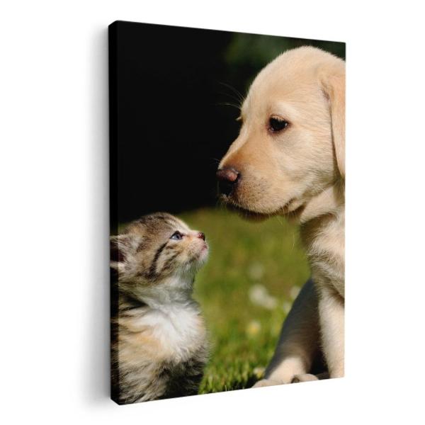 A[gpl G G  IׂTCY A1 A2 A3 A4 A5 6؂ `33 `45 002794 Aj} @L@@ʐ^