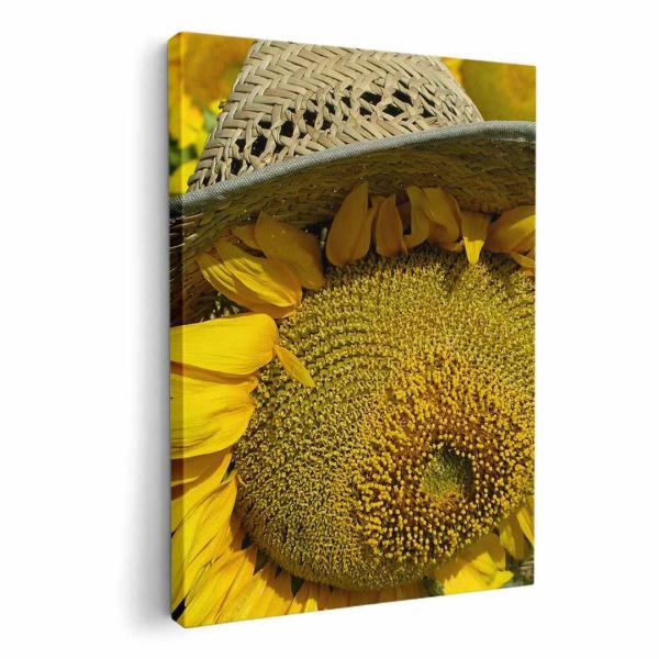 A[gpl G G  IׂTCY A1 A2 A3 A4 A5 6؂ `33 `45 002800 ʐ^Ei Ђ܂@ԁ@ʐ^