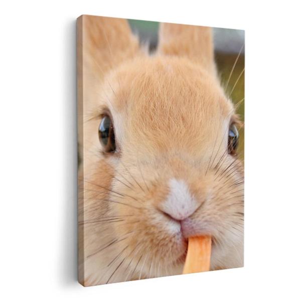 �A�[�g�p�l�� �G �G�� ���� �I�ׂ�T�C�Y A1 A2 A3 A4 A5 6�؂� �����`33 �����`45 002807 �A�j�}�� �������@�����@�ʐ^