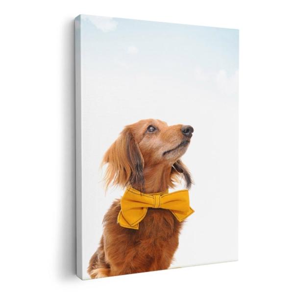 A[gpl G G  IׂTCY A1 A2 A3 A4 A5 6؂ `33 `45 002852 Aj} @@ʐ^