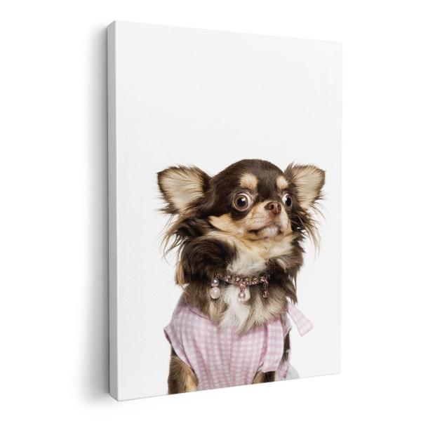 A[gpl G G  IׂTCY A1 A2 A3 A4 A5 6؂ `33 `45 002884 Aj} @@ʐ^