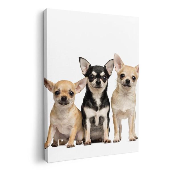 A[gpl G G  IׂTCY A1 A2 A3 A4 A5 6؂ `33 `45 002885 Aj} @@ʐ^