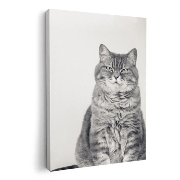 A[gpl G G  IׂTCY A1 A2 A3 A4 A5 6؂ `33 `45 002901 Aj} L@@ʐ^