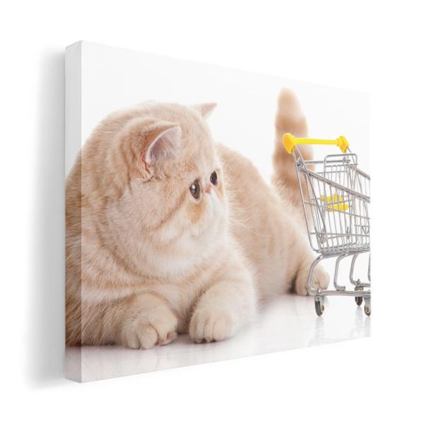 A[gpl G G  IׂTCY A1 A2 A3 A4 A5 6؂ `33 `45 002908 Aj} L@@ʐ^