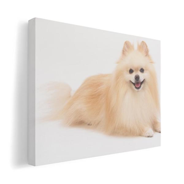 A[gpl G G  IׂTCY A1 A2 A3 A4 A5 6؂ `33 `45 002911 Aj} @@ʐ^