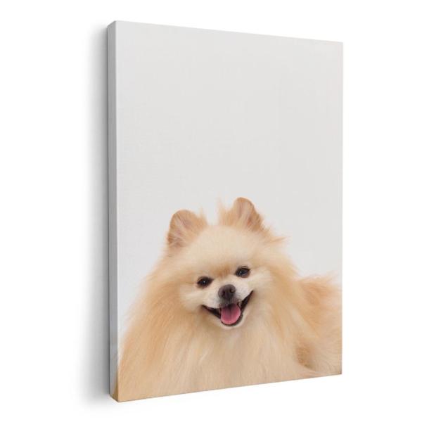 A[gpl G G  IׂTCY A1 A2 A3 A4 A5 6؂ `33 `45 002912 Aj} @@ʐ^