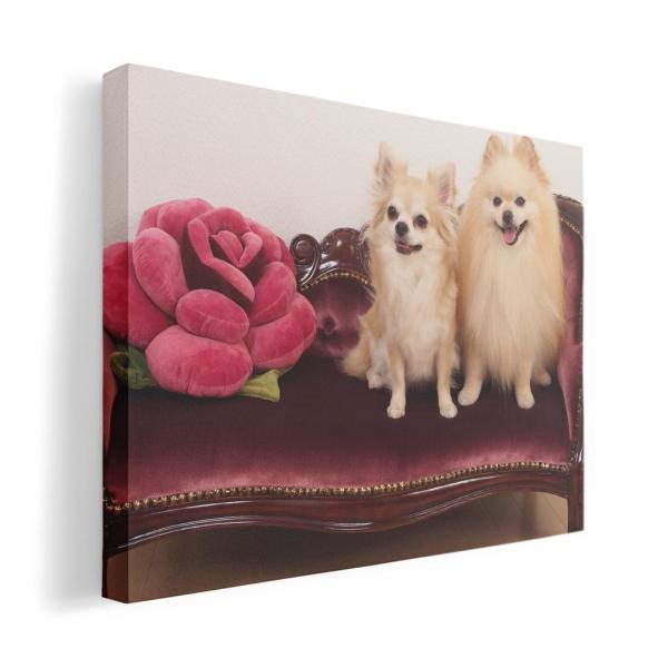 A[gpl G G  IׂTCY A1 A2 A3 A4 A5 6؂ `33 `45 002913 Aj} @@ʐ^