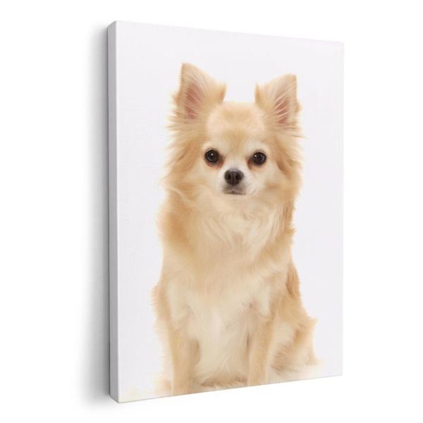 A[gpl G G  IׂTCY A1 A2 A3 A4 A5 6؂ `33 `45 002914 Aj} @@ʐ^