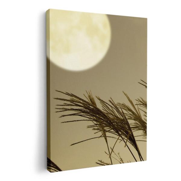 A[gpl G G  IׂTCY A1 A2 A3 A4 A5 6؂ `33 `45 003164 j[N t[ ʐ^@iF@i