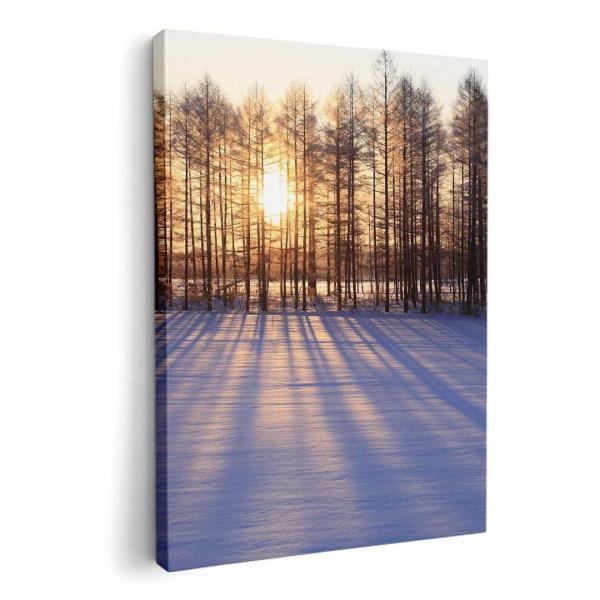 A[gpl G G  IׂTCY A1 A2 A3 A4 A5 6؂ `33 `45 003272 ʐ^Ei N[ ̑ ʐ^@iF@i