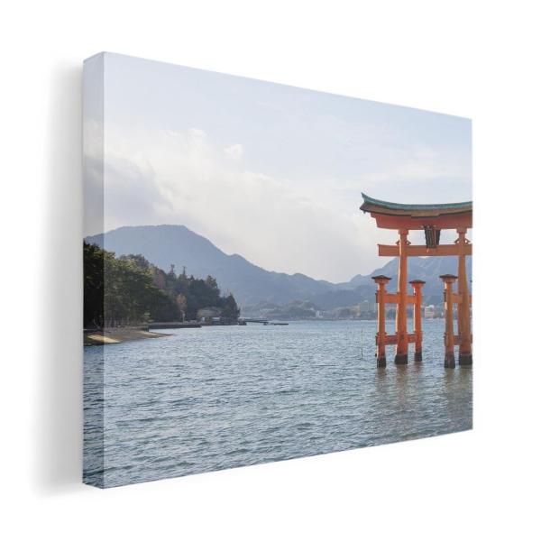 A[gpl G G  IׂTCY A1 A2 A3 A4 A5 6؂ `33 `45 003288 ʐ^Ei ̑ N[ ʐ^@iF@i