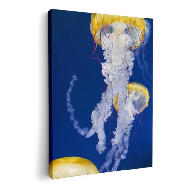 A[gpl G G  IׂTCY A1 A2 A3 A4 A5 6؂ `33 `45 003306 N[ ʐ^Ei 炰@C@ʐ^