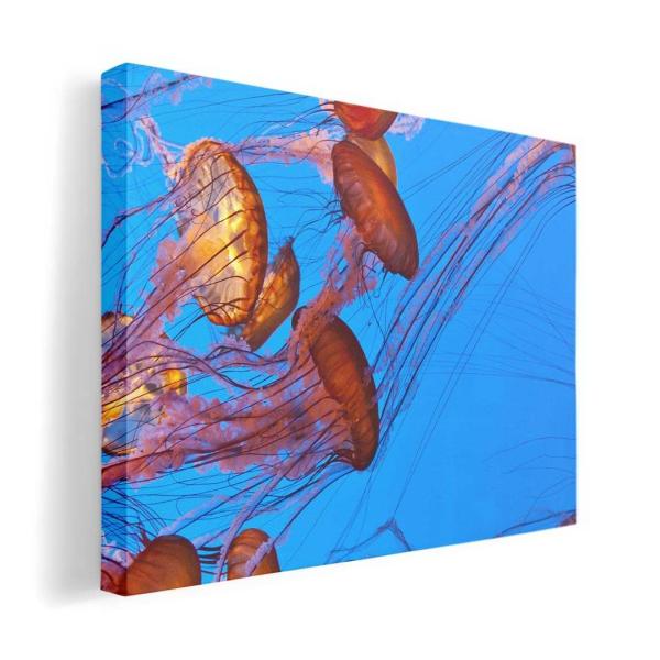 A[gpl G G  IׂTCY A1 A2 A3 A4 A5 6؂ `33 `45 003327 N[ ʐ^Ei 炰@C@ʐ^