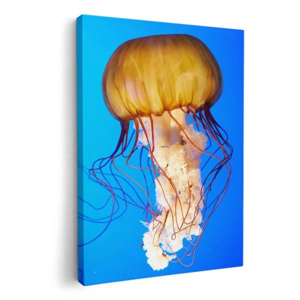 A[gpl G G  IׂTCY A1 A2 A3 A4 A5 6؂ `33 `45 003338 N[ ʐ^Ei 炰@C@ʐ^