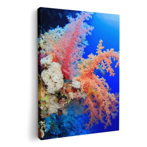 A[gpl G G  IׂTCY A1 A2 A3 A4 A5 6؂ `33 `45 003341 ʐ^Ei N[ C@ʐ^@iF@i