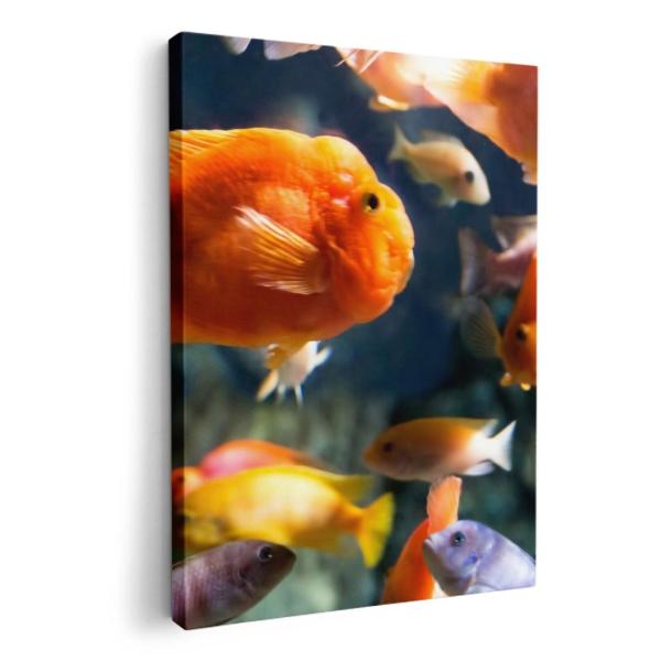 A[gpl G G  IׂTCY A1 A2 A3 A4 A5 6؂ `33 `45 003538 ʐ^Ei @C@ʐ^