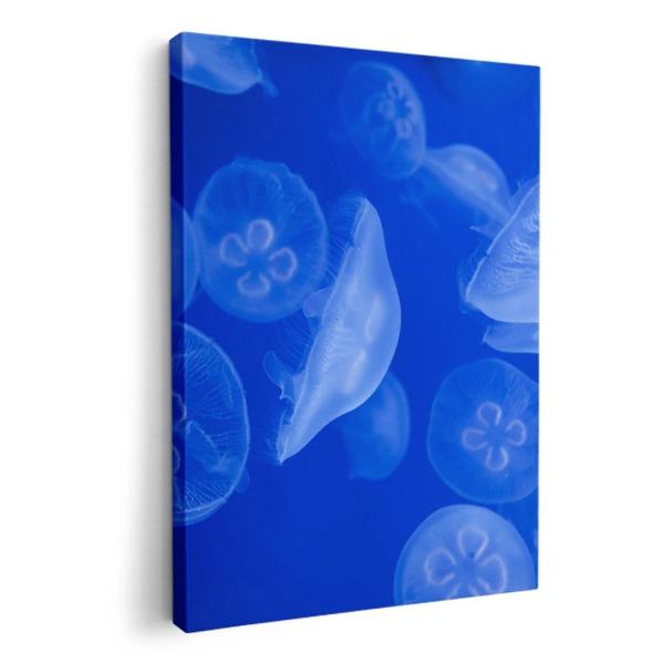 A[gpl G G  IׂTCY A1 A2 A3 A4 A5 6؂ `33 `45 003560 Aj} 炰@C@ʐ^