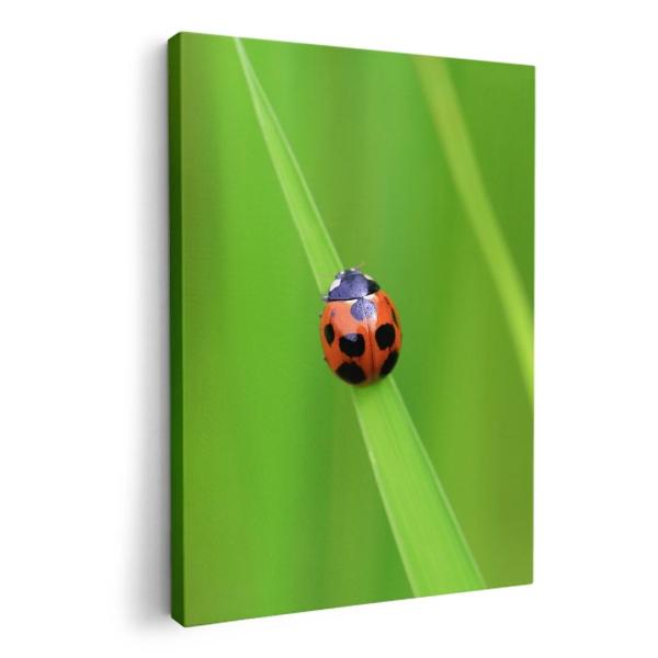 A[gpl G G  IׂTCY A1 A2 A3 A4 A5 6؂ `33 `45 003604 ʐ^Ei ĂƂ@ʐ^