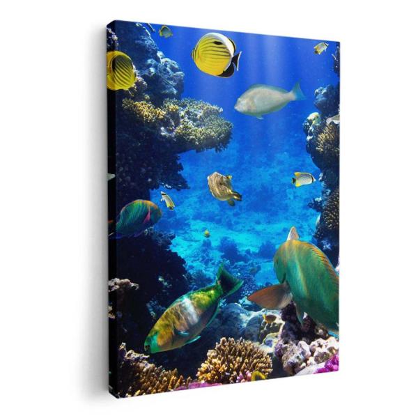 A[gpl G G  IׂTCY A1 A2 A3 A4 A5 6؂ `33 `45 004493 Aj} ʐ^Ei C@@ʐ^