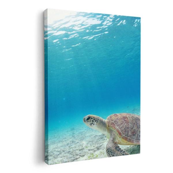 A[gpl G G  IׂTCY A1 A2 A3 A4 A5 6؂ `33 `45 004605 ʐ^Ei E~K@C@ʐ^