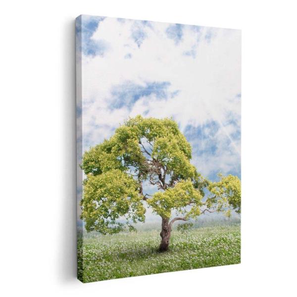 A[gpl G G  IׂTCY A1 A2 A3 A4 A5 6؂ `33 `45 004647 ʐ^Ei ؁@@ʐ^