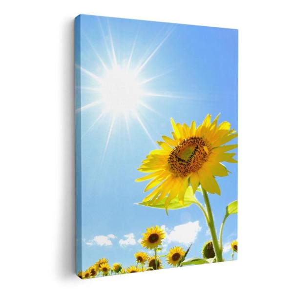 A[gpl G G  IׂTCY A1 A2 A3 A4 A5 6؂ `33 `45 005089 ʐ^Ei Ђ܂@ʐ^@z