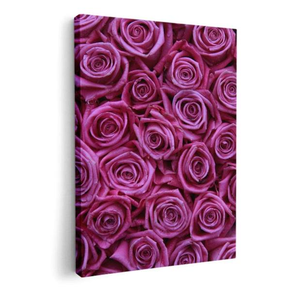 A[gpl G G  IׂTCY A1 A2 A3 A4 A5 6؂ `33 `45 005129 t[ KN@@ʐ^