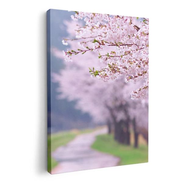 A[gpl G G  IׂTCY A1 A2 A3 A4 A5 6؂ `33 `45 005163 ʐ^Ei ԁ@؁@ʐ^@