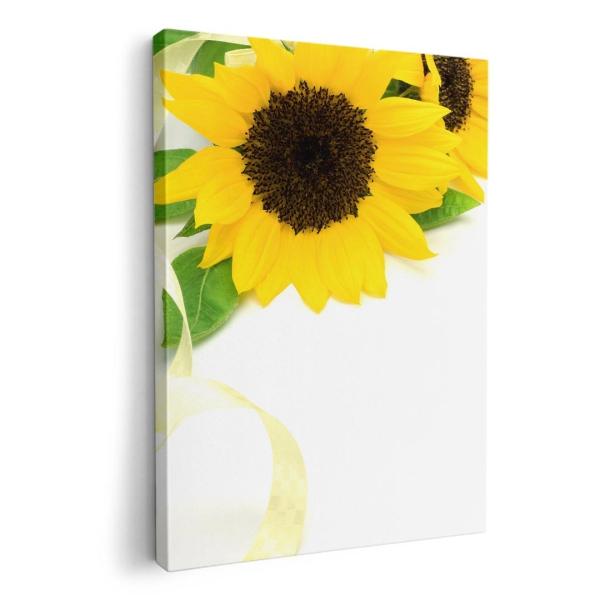 A[gpl G G  IׂTCY A1 A2 A3 A4 A5 6؂ `33 `45 005164 t[ Ђ܂@ʐ^@Vv